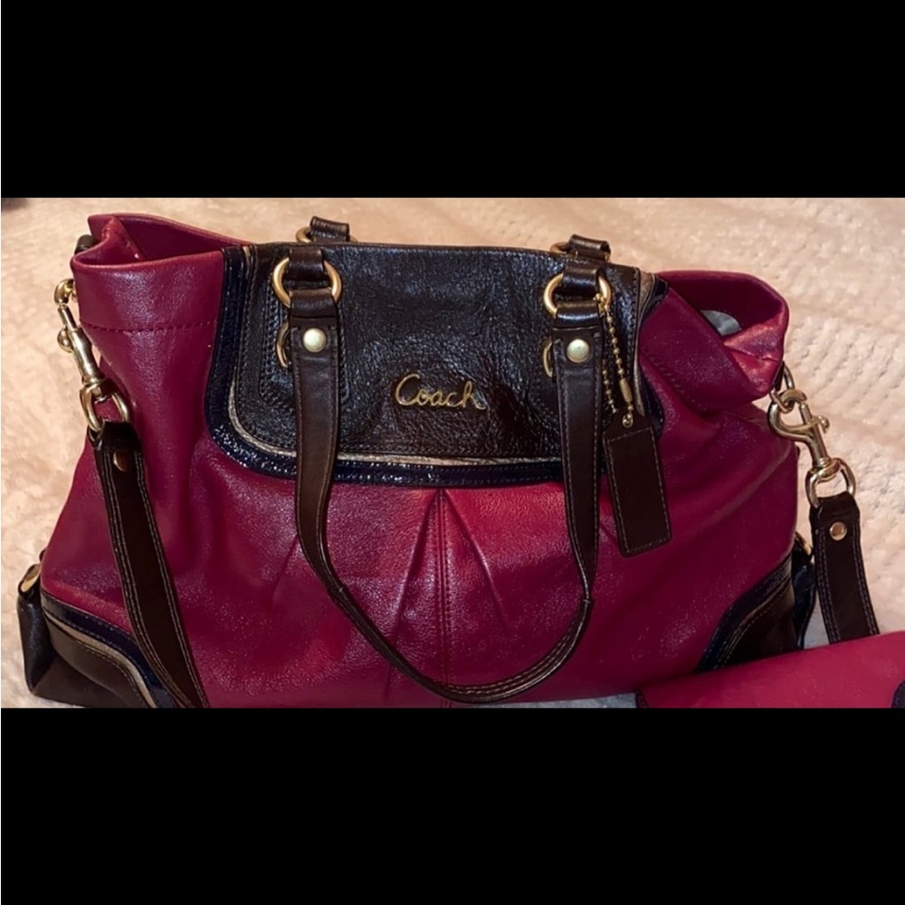 Coach Ashley Satchel